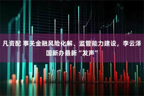 凡资配 事关金融风险化解、监管能力建设，李云泽国新办最新“发声”