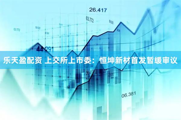乐天盈配资 上交所上市委：恒坤新材首发暂缓审议